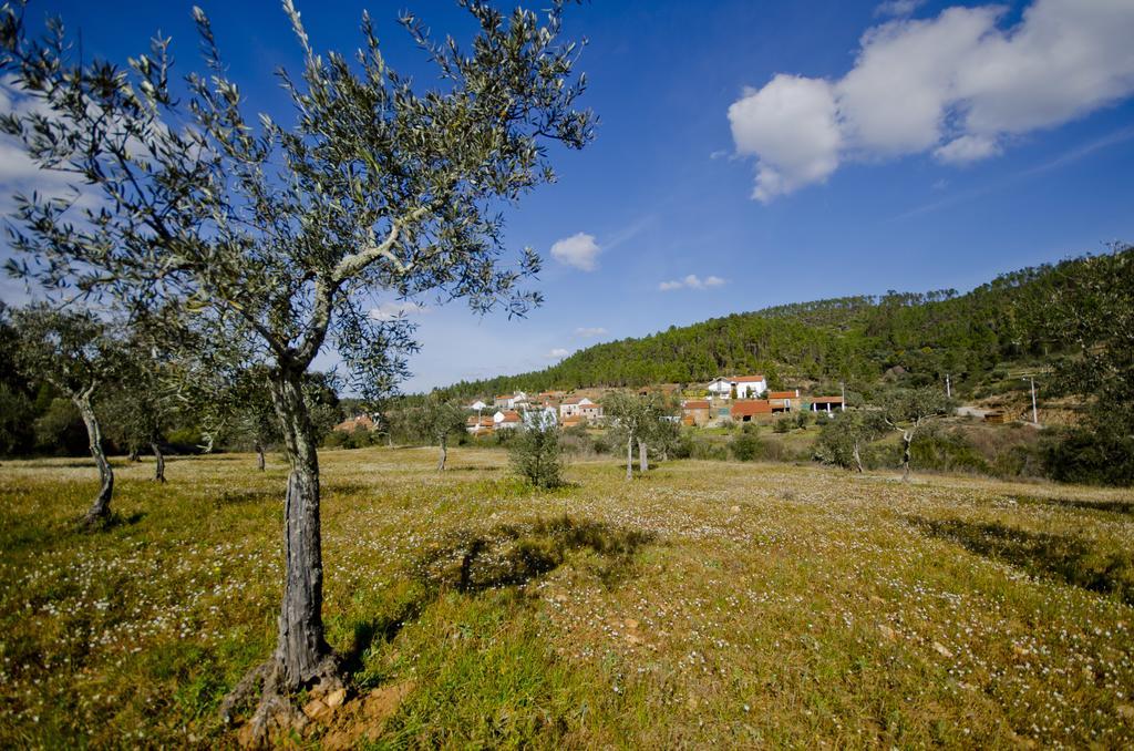 Xisto Sentido Villa Martim Branco Dış mekan fotoğraf