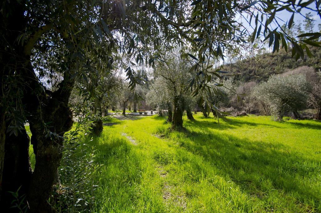 Xisto Sentido Villa Martim Branco Dış mekan fotoğraf